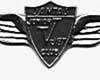 Qantas V-Jet Club Badge
